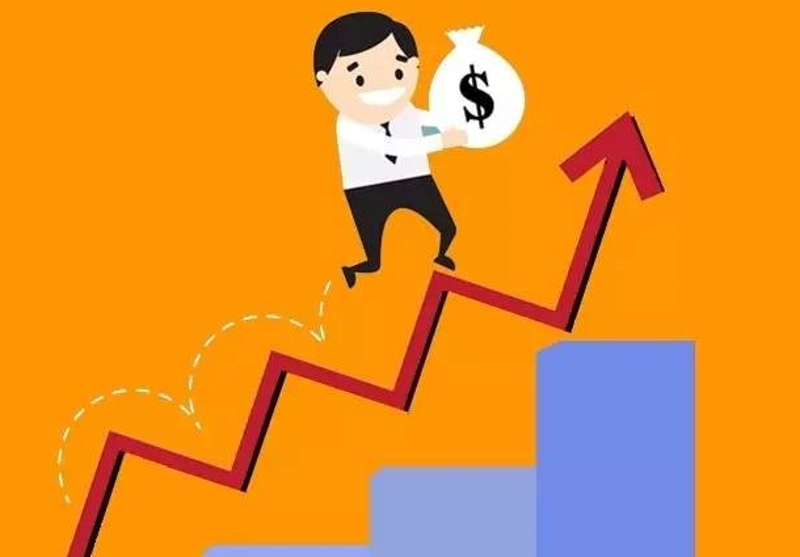 投资理财:以案例看风险与回报的平衡
